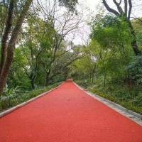 Grânulo de borracha vermelho da cor EPDM para a estrada exterior do parque do jardim público
