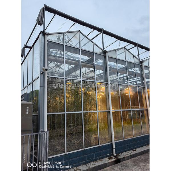 Glass Covered Industrial Greenhouse with 3.73-7.73m Roof Height and Glass Panels
