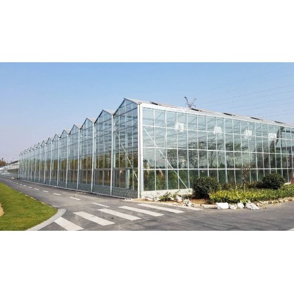4mm Superior Tempered Patterned Glass Panel for Plants Growing Greenhouse