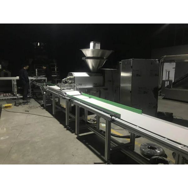 Stainless Steel Auto Meat Strip Traying System Cold Extrusion Pet Treat Line
