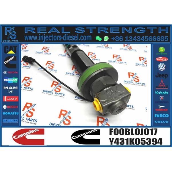 Common Rail Engine Accessories Diesel Injector 4964171 FOOBLOJ017 F00BLOJ017 FOR