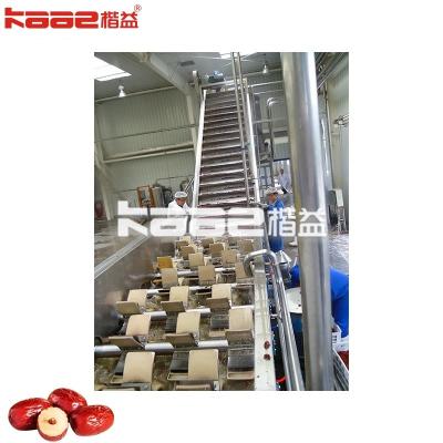 Commercial Dates Production Line Automatic Dates Processing Machine