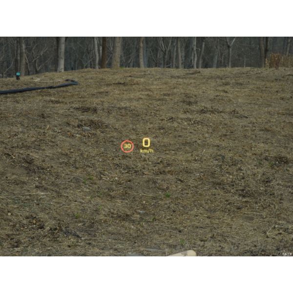 200 Km/H Top Speed Electric Car EV Long-Range Screen Master for Rising Auto R7 2023