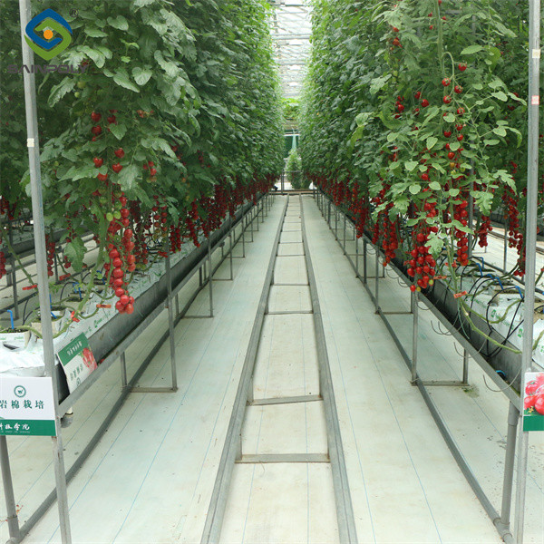 Sistema de canaletas hidropónicas de invernadero con bolsas de cultivo para el cultivo de tomate