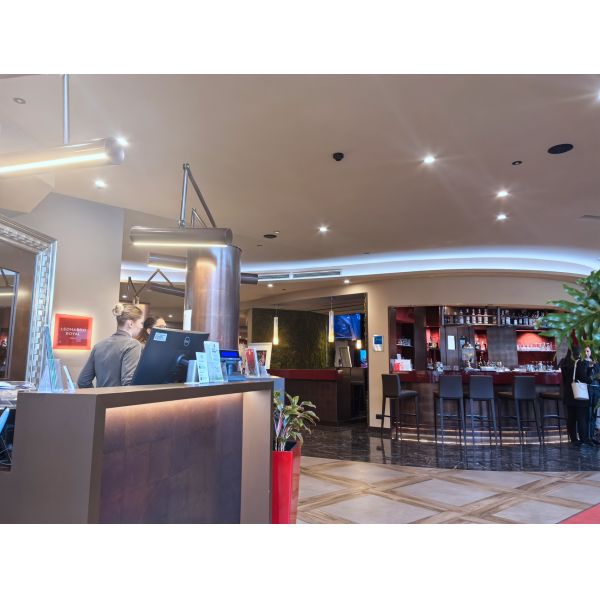 Carreaux de plafond Panneaux de bois micro-perforés insonorisés Acoustique intérieur décoré