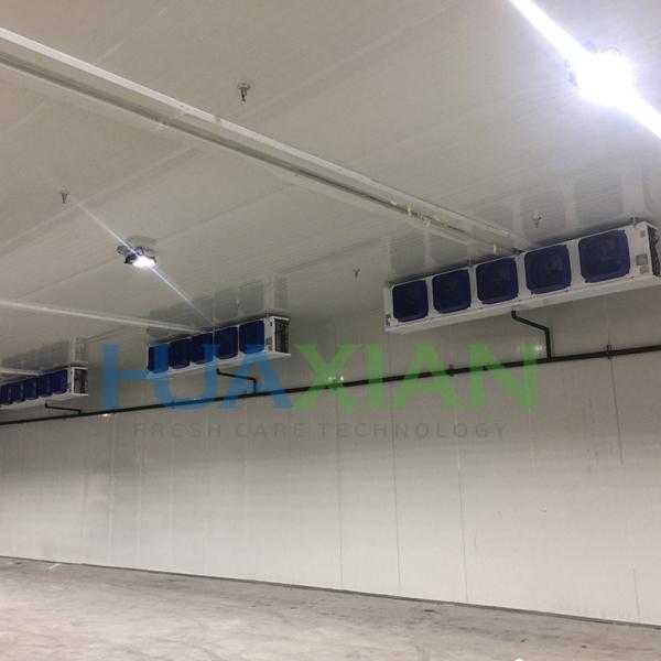 Small Size Bulgaria Movable Complete Cold Storage Room/Freezer/Chiller for Meat/Vegetables/Fish/Fruit