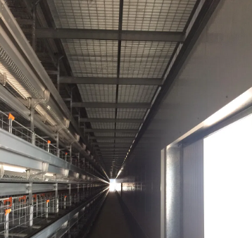 Hot-Dip Galvanized Steel Structure Chicken Coop with Modular Design and Customizable Dimensions for Poultry Farm Building