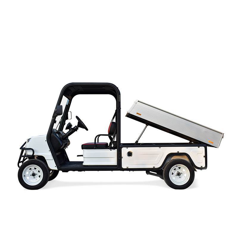 D-E2H Electric Golf Car With 1650*1160*280mm Aluminum Cargo