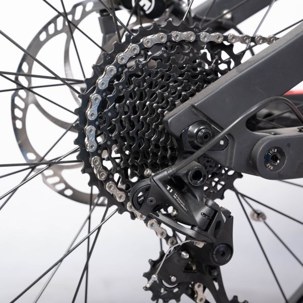 48V 1000W Mid Drive Motor Electric Bicycle with Carbon Fiber Frame and Bafang Motor