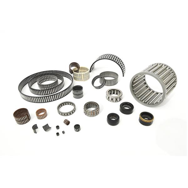 Radial Needle Roller And Cage Assemblies