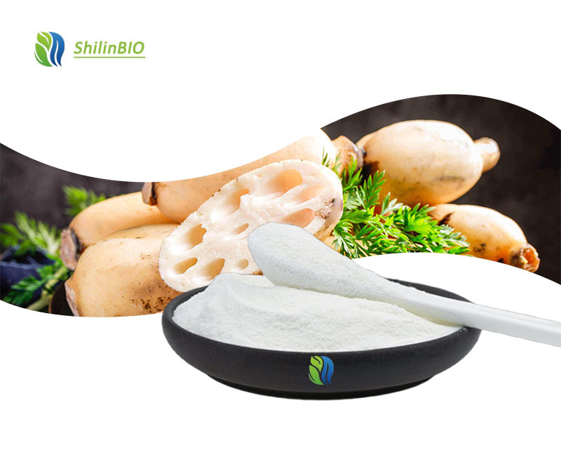 SLBIO Factory Direct Lotus Root Powder Raw Material Lotus Root Powder High Quality Lotus Starch