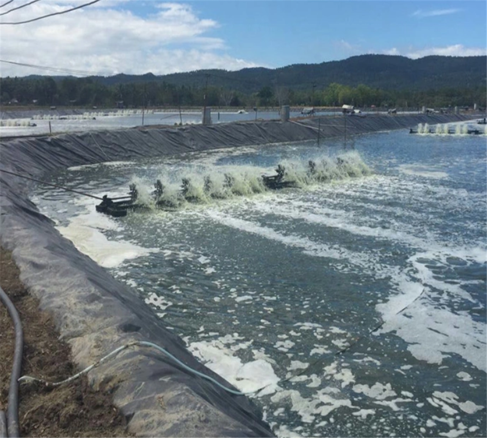 Специализированная наружная ПВХ геомембрана Рыбоводный резервуар пруд брезент креветки пруд линейка