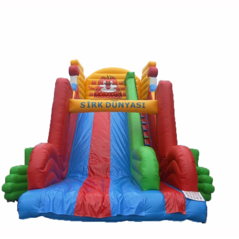 Customized PVC Inflatable Large Slide for Kids Inflatable Screamer Water Slide Inflatable Water Slide for Kids and Adults
