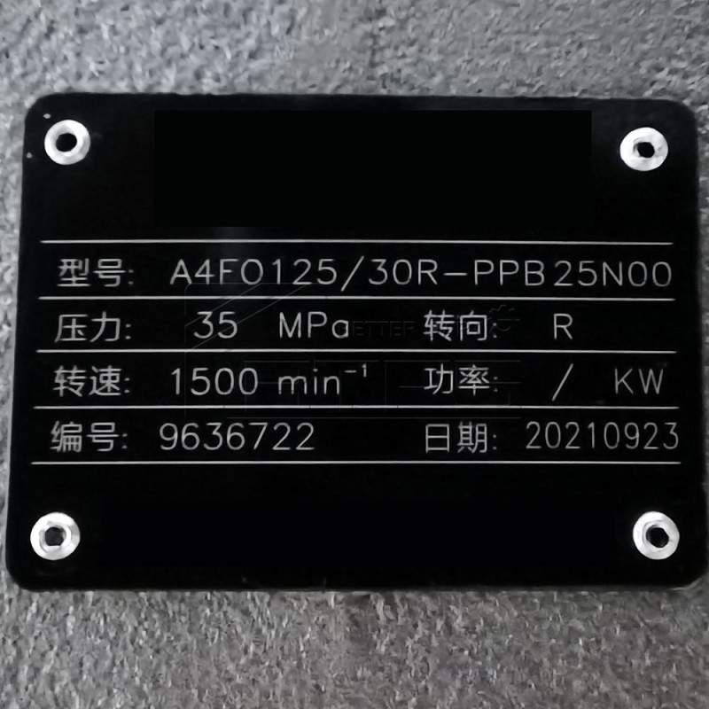 Rexroth A4FO Series Axial Piston Fixed Pumps A4FO125_30L-PZB25U33 hydraulic piston pump, A4FO125_30R-PPB25N00 hydraulic pump spare part A4FO22 A4FO28 A4FO40 A4FO71 A4FO125 