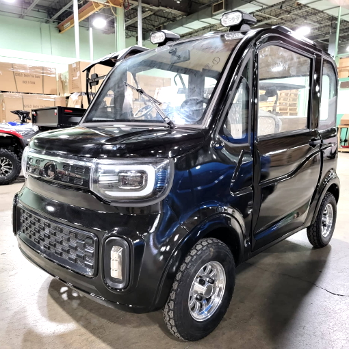 Корабль Seater LSV автомобиля 4 гольфа тарельчатых тормозов 1500w электрический низкоскоростной