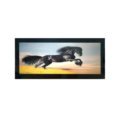10.25 Inch Automotive LCD Display LTPS TFT Active Matrix 1920x 720  2 Port 1000nits