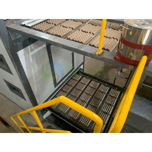 Fully Automatic Paper Egg Tray Making Machine | 3000–10000 pcs/h Egg Tray Production Line | SHM