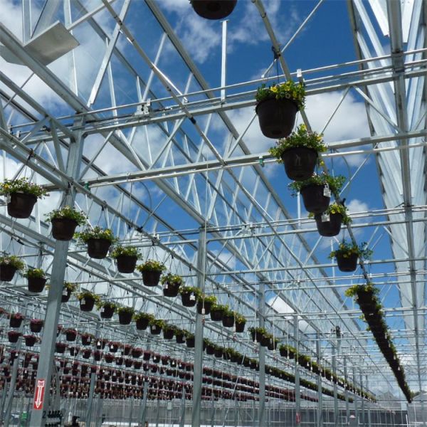 Стеклянная теплица с высокой светопередачей