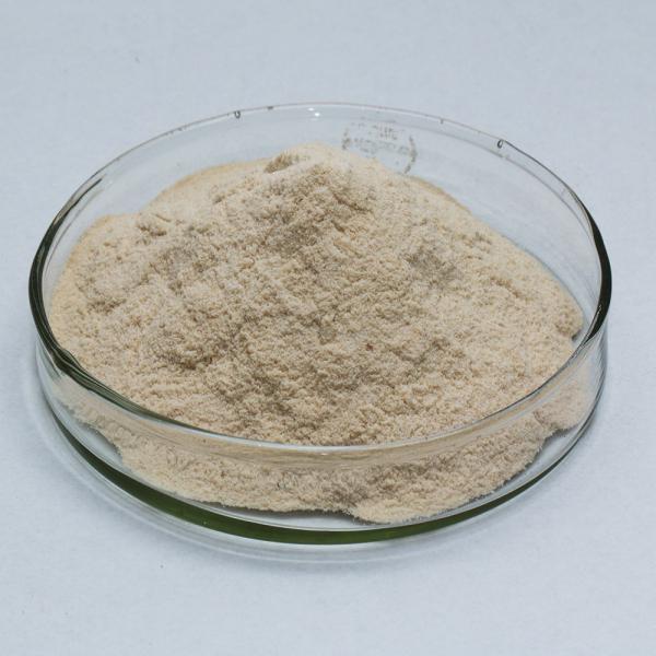 neutral protease 500000U/g Used for protein, feed, and medicine, providing enzyme preparation sample