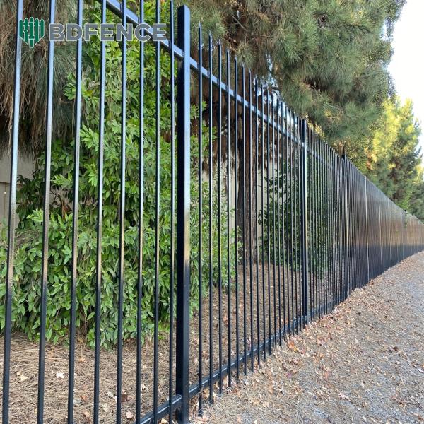 Front Yard Tubular Steel Fence Curb Enhancer