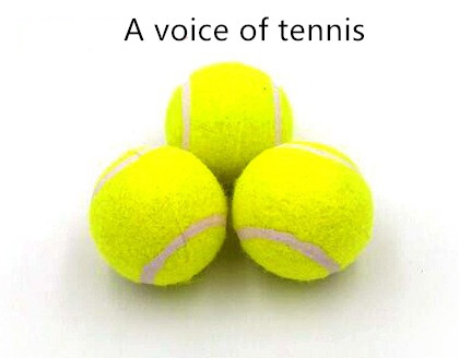 Pet Gun Tennis Launcher Pet Toy Interactive Pet Training Educational