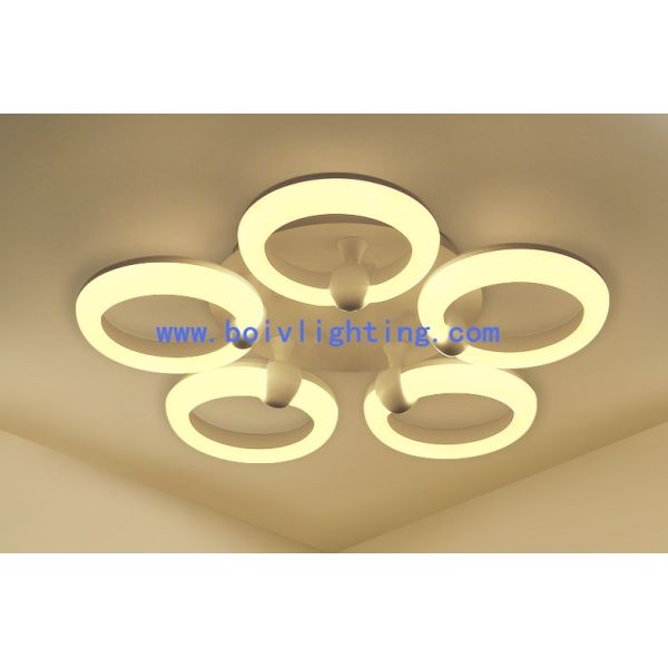 36W Indoor Decprative  Iron Modern Ceiling Light LED Lamps