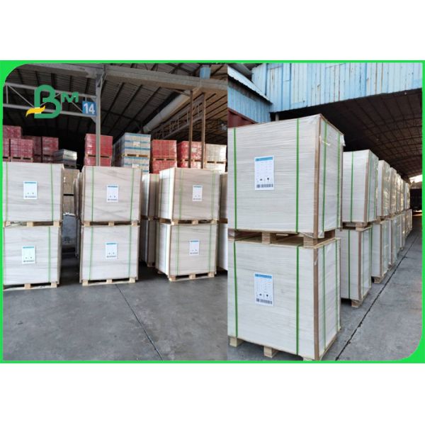 Biodegradable бумага 190gsm 210gsm Cupstock низкопробная на шар 720MM еды 860MM Биодеградабле бумага 190гсм 210гсм Купсток низкопробная на шар 720ММ еды 860ММ
