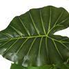 Artificial Monstera Deliciosa Plant 37 Fake Tropical Palm Tree, Perfect Faux Swiss Cheese Plants in Pot