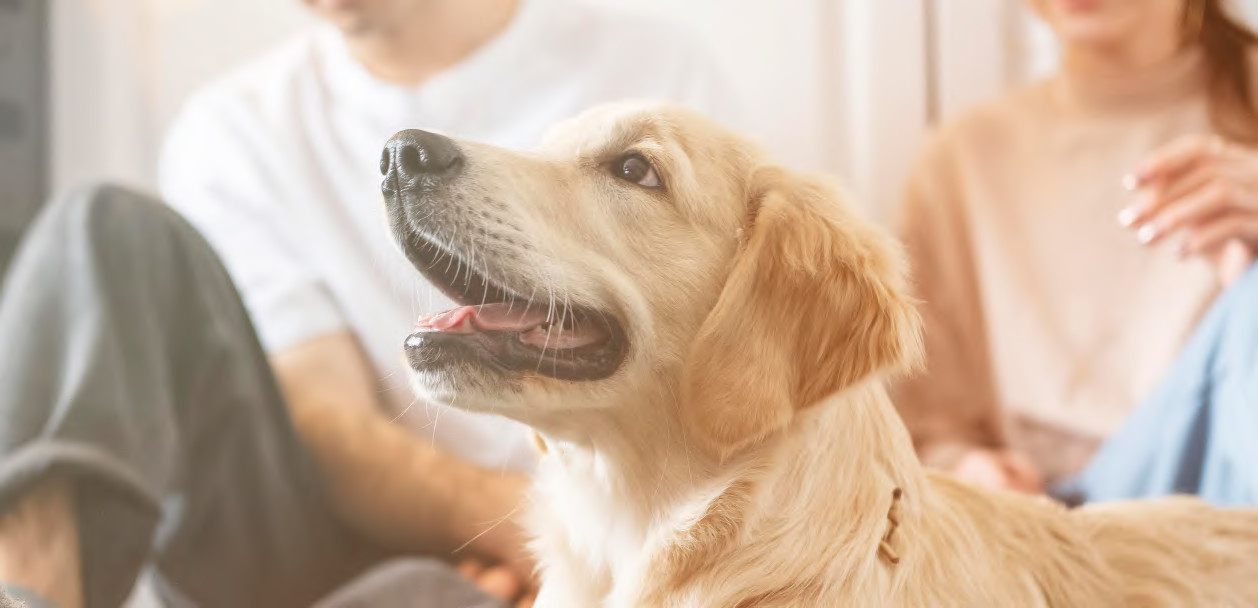 Тип таблица таблицы v медицинской хирургической нержавеющей стали ветеринарный OT оборудований SS304 Ot ветеринара