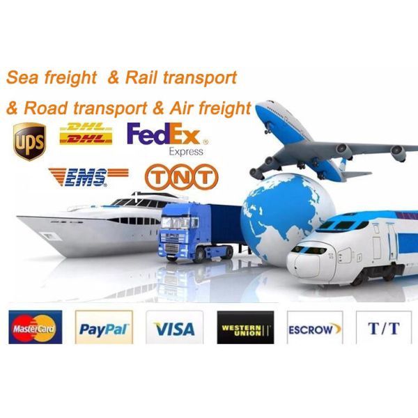 Customization Lightweight Insulated Plastic Tumblers Double Wall Sports Reusable Plastic Iced Coffee Cups With Straw 17*10.2cm/28.2*10.5cm