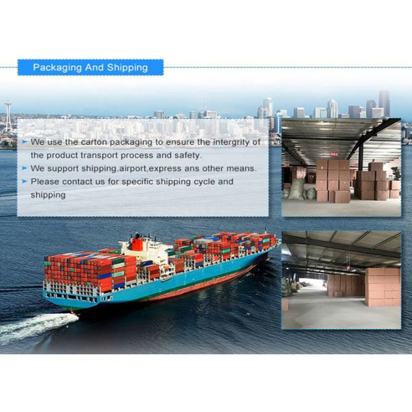 Folding Single Medical Hospital Beds For Adults 180kg Load Capacity ODM