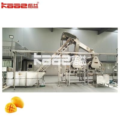 High Efficiency Mango Juice Processing Plant Line Automatic Grade