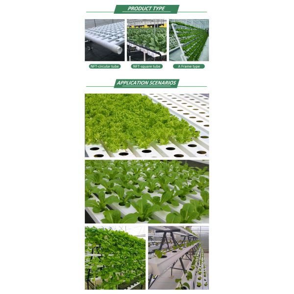 Vertical Soilless Cultivation Planting Lettuce Hydroponic System Indoor Ebb Flow Hydroponics Growing System
