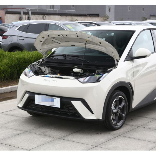 2023 новых свободных вариантов чайок BYD чистых электрических и используемых хэтчбека 4 мест