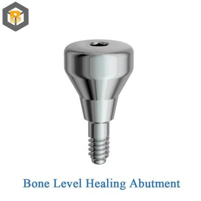 Custom 2D/3D Dental Implant Abutment Screw Hexagon External for Professional Dental Lab