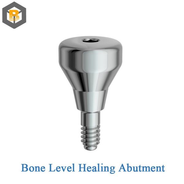Custom 2D/3D Dental Implant Abutment Screw Hexagon External for Professional