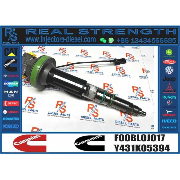 Common Rail Engine Accessories Diesel Injector 4964171 FOOBLOJ017 F00BLOJ017 FOR