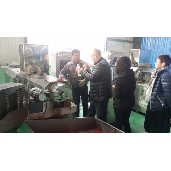 Двойная производственная линия лепешки корма для животных штрангпресса питания рыб винта 160kg/hr