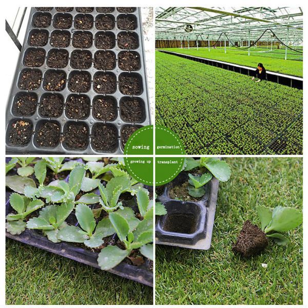 128 células PS bandejas de sementeira de plástico para plantação de vegetais 0,8 mm a 1,0 mm de espessura bandejas de germinação de plantas