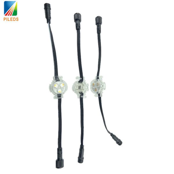 UCS2904 RGBW LED Point Light 30mm 12V Ip67 Smd 5050 For Christmas Holiday