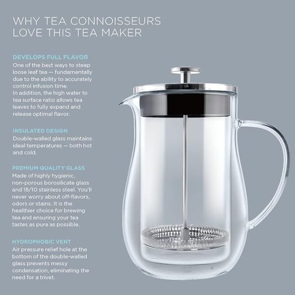Customized 600ml Capacity Borosilicate Glass Coffee Kettle Double Wall French Press