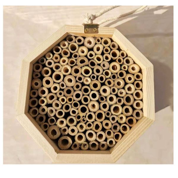 Дом держать пчелы деревянной коробки 15cm*15cm*9cm пчелы меда смертной казни через повешение стены