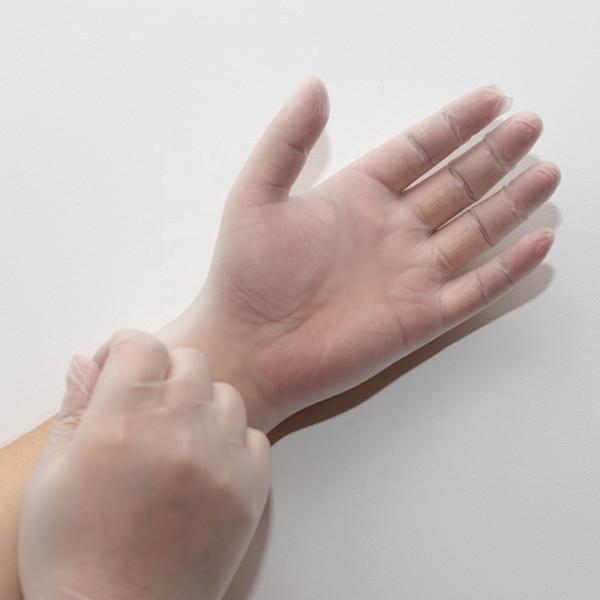Vinyl PVC Disposable P Medical Gloves With Powdered And Powderfree Type