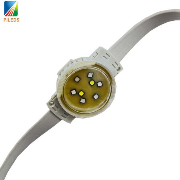 50mm DC24V LED Pixel Dots Light DMX512 RGBW 2w IP68 For Outdoor Building