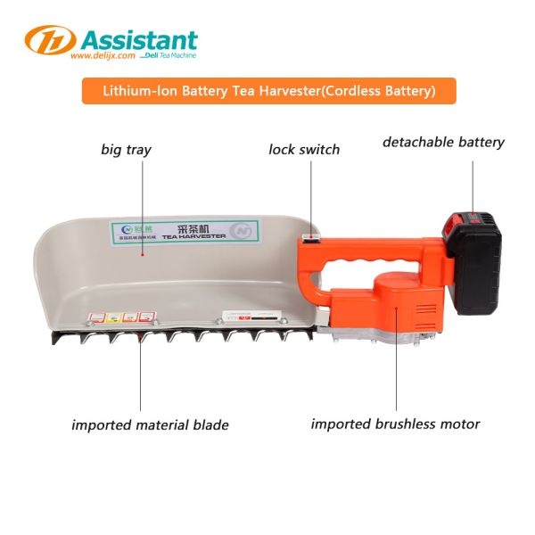 Cordless Battery Tea Plucking Machine for Garden Tea Cutting Motor Dl-4CD-35N 2024 Functional Improvements