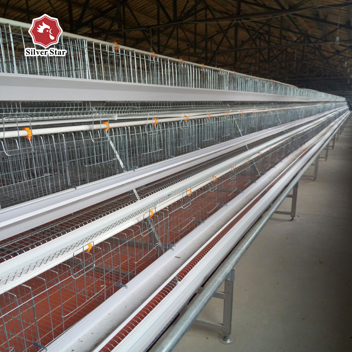 A Frame Hot Dipped Layer Battery Chicken Cage 4 Layers / Cell