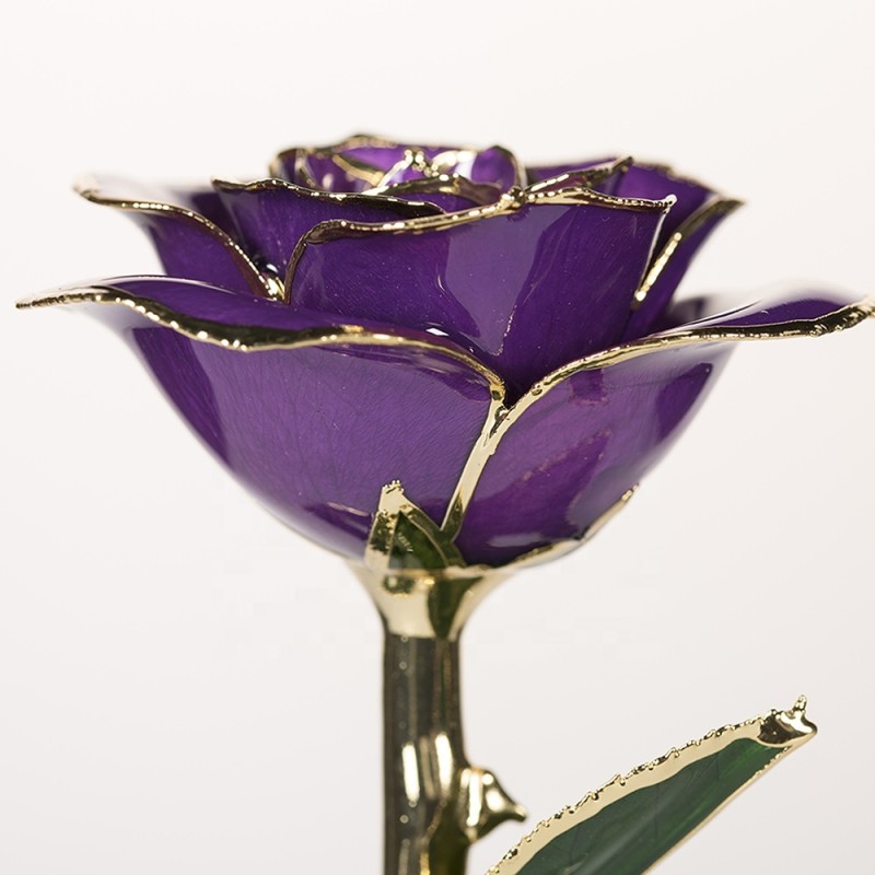 24k Gold Trimmed Rose  Preserved Fresh Flower  Resin Preservation Eternal Rose Mother's Day Valentine's Day Christmas Gif