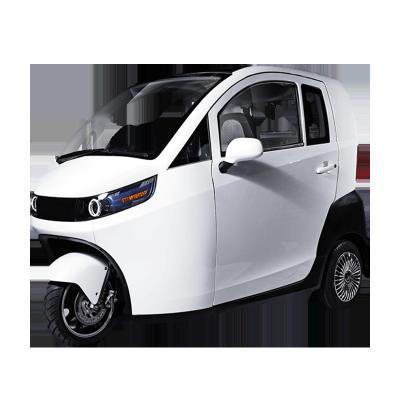 Raysince latest model electric mini car EEC certificated 60V 3 wheel electric bicycle for hot sale