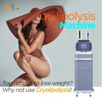 360 máquina da cavitação do vácuo da máquina 3000W do emagrecimento de Cryolipolysis com 4 punhos