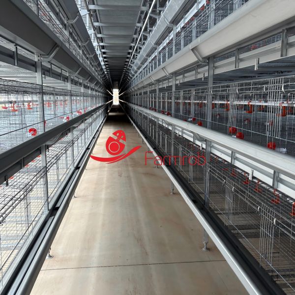 40000 chicks Poultry Battery Cage System with Integrated Ventilation System